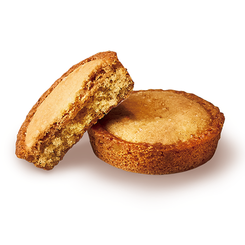 �J�X�e���r�X�P�b�g