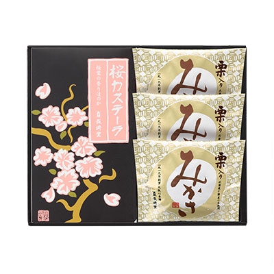 �y�L�����y�[�����z���J�X�e�[��(5�ؓ�)�E�I����݂���(3��)�̋l�ߍ��킹